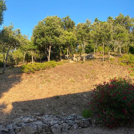 Li Paduleddi Country Guest House Olbia Eksteriør billede