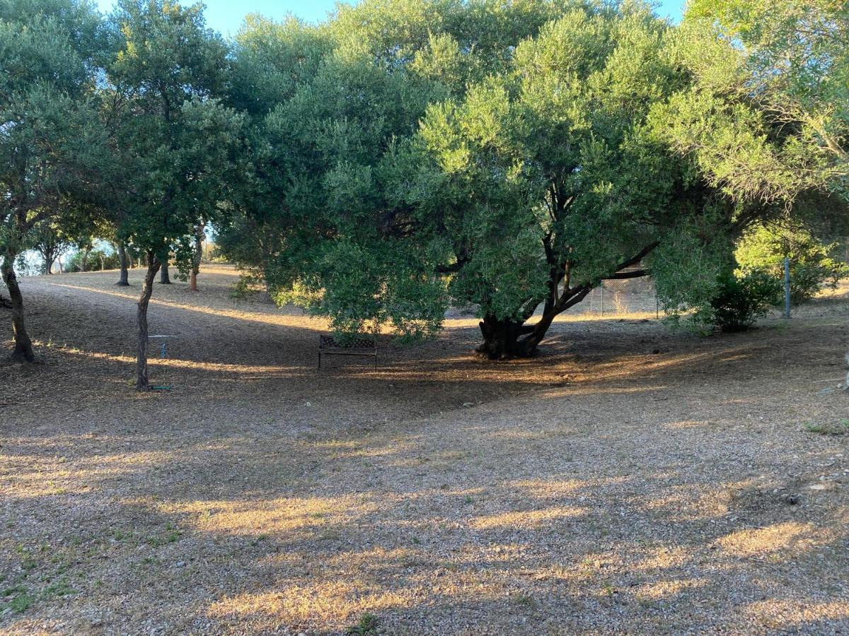 Li Paduleddi Country Guest House Olbia Eksteriør billede