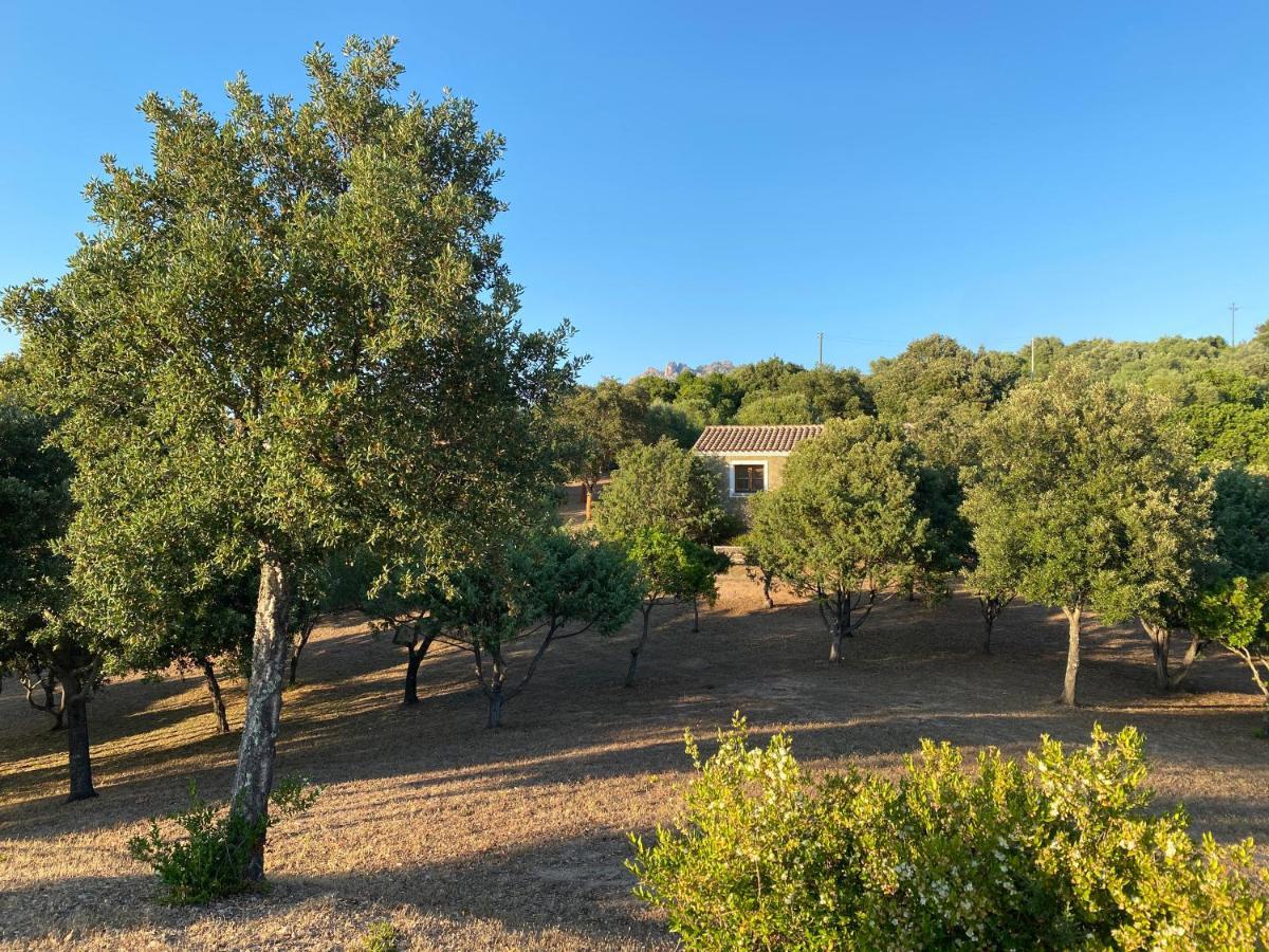 Li Paduleddi Country Guest House Olbia Eksteriør billede